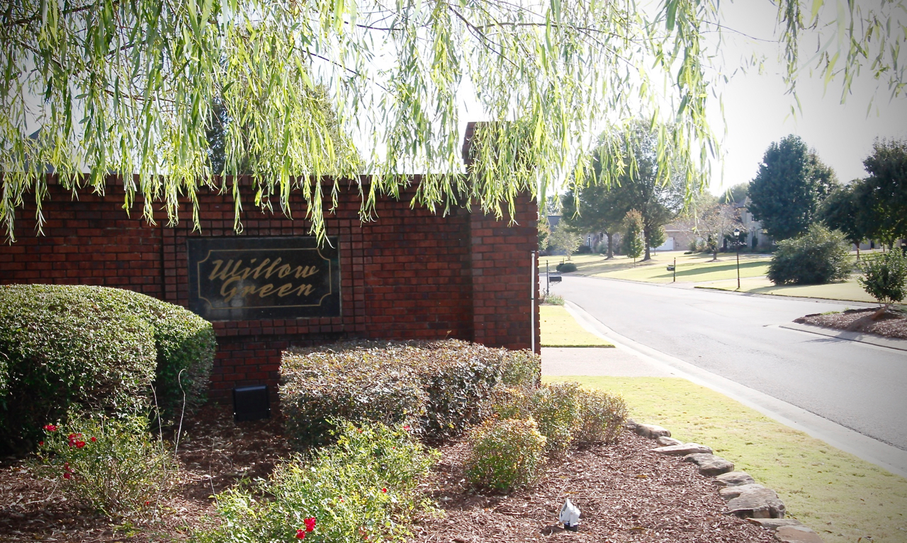 Homes for Sale in Willow Green Woods Jackson Alan Castleman Real